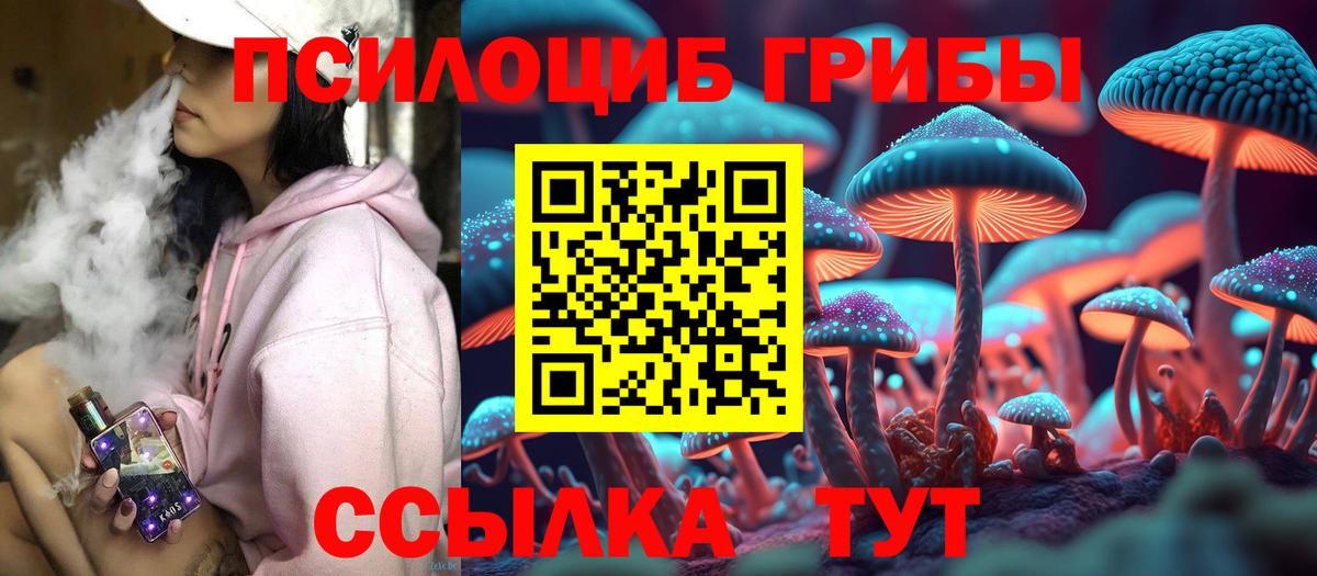 Псилоцибиновые грибы Cubensis Югорск